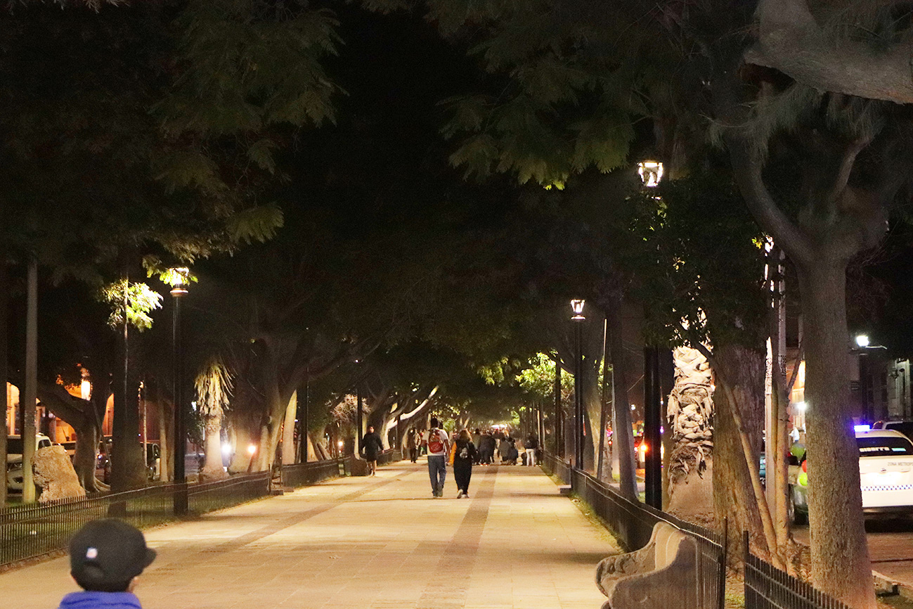 ACTIVA GOBIERNO MUNICIPAL 106 LUMINARIAS LED EN CALZADA DE GUADALUPE